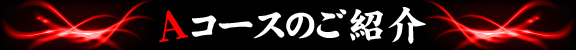 Aコースのご紹介