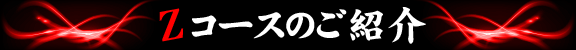 Zコースのご紹介