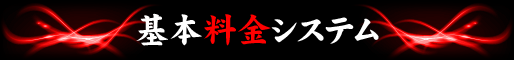 基本料金システム